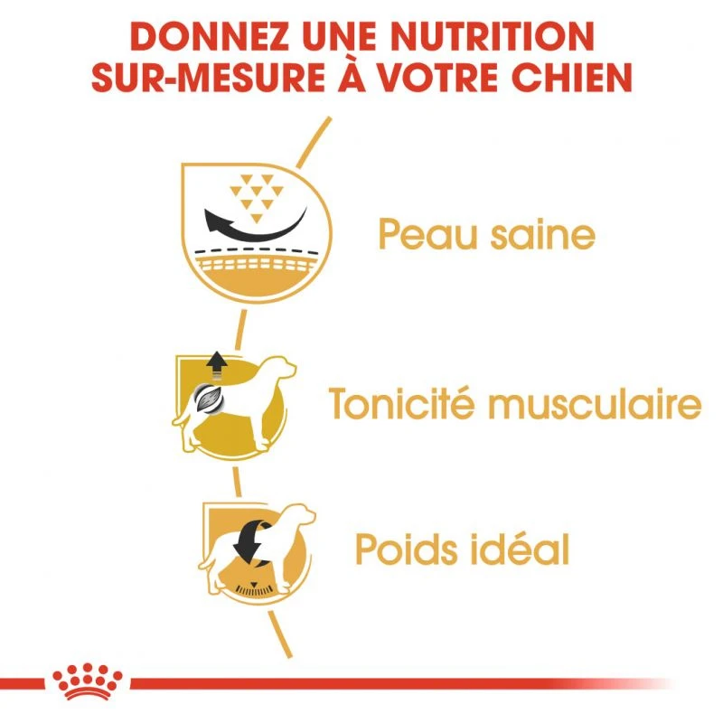 ROYAL CANIN Pug Adult 1,5kg 3 ROYAL CANIN Pug Adult 1,5kg – Image 3