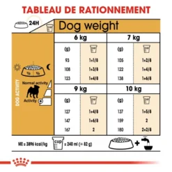 ROYAL CANIN Pug Adult 1,5kg 9 ROYAL CANIN Pug Adult 1,5kg -Magasin De Fournitures Pour Chiens fre pl ROYAL CANIN Pug Adult 1 5kg 16110 5
