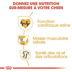 ROYAL CANIN Rottweiler Adult 12kg 9 ROYAL CANIN Rottweiler Adult 12kg -Magasin De Fournitures Pour Chiens fre pl ROYAL CANIN Rottweiler Adult 12kg 9456 4