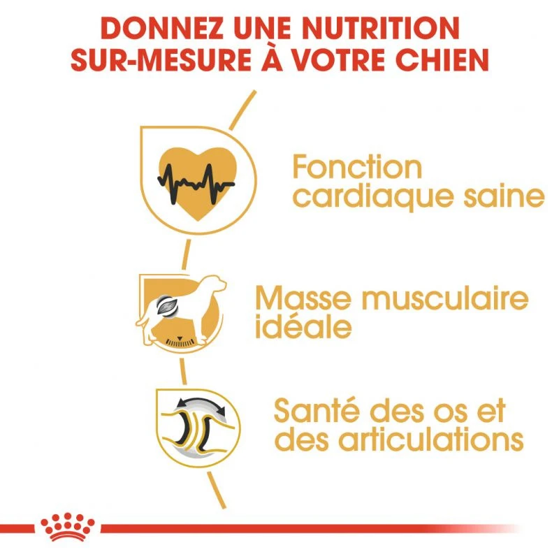 ROYAL CANIN Rottweiler Adult 12kg 4 ROYAL CANIN Rottweiler Adult 12kg – Image 4