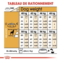 ROYAL CANIN Rottweiler Adult 12kg 11 ROYAL CANIN Rottweiler Adult 12kg -Magasin De Fournitures Pour Chiens fre pl ROYAL CANIN Rottweiler Adult 12kg 9456 6
