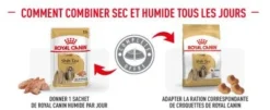 ROYAL CANIN Shih Tzu Adult 12x85g -Magasin De Fournitures Pour Chiens fre pl ROYAL CANIN Shih Tzu Adult 12x85g 12522 5