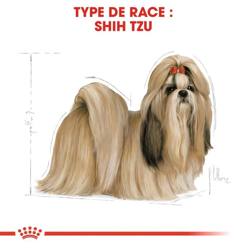ROYAL CANIN Shih Tzu Adult 500g X2 4 ROYAL CANIN Shih Tzu Adult 500g X2 – Image 4