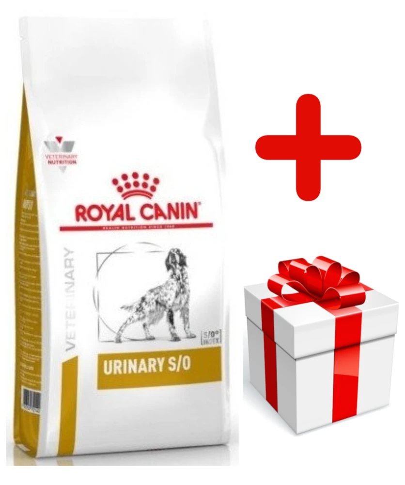 ROYAL CANIN Urinary S/O 13kg + Surprise Pour Votre Chien GRATUITES ! 1 ROYAL CANIN Urinary S/O 13kg + Surprise Pour Votre Chien GRATUITES !