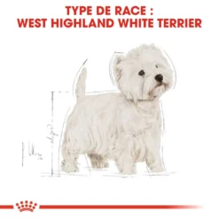 ROYAL CANIN West Highland White Terrier Adult 1,5kg -Magasin De Fournitures Pour Chiens fre pl ROYAL CANIN West Highland White Terrier Adult 1 5kg 16157 5
