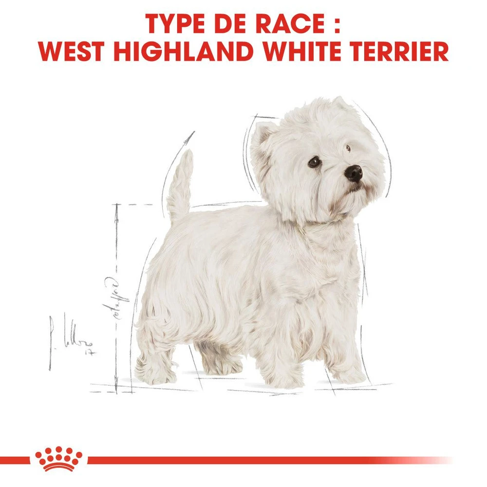 ROYAL CANIN West Highland White Terrier Adult 500g 2 ROYAL CANIN West Highland White Terrier Adult 500g – Image 2