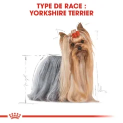 ROYAL CANIN Yorkshire Terrier Adult 1,5kg -Magasin De Fournitures Pour Chiens fre pl ROYAL CANIN Yorkshire Terrier Adult 1 5kg 16160 4