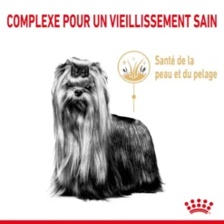 ROYAL CANIN Yorkshire Terrier Adult 8+ 3 Kg -Magasin De Fournitures Pour Chiens fre pl ROYAL CANIN Yorkshire Terrier Adult 8 3 kg 12530 6