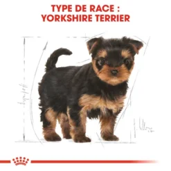 ROYAL CANIN Yorkshire Terrier Puppy 1,5kg -Magasin De Fournitures Pour Chiens fre pl ROYAL CANIN Yorkshire Terrier Puppy 1 5kg 9597 3