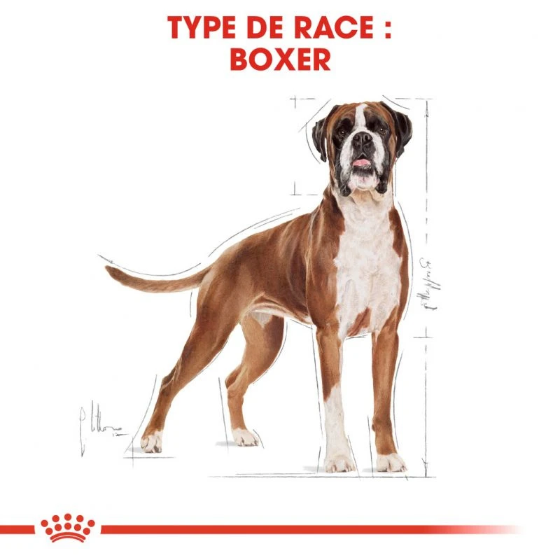 Royal Canin Boxer Adult 12kg 3 Royal Canin Boxer Adult 12kg – Image 3