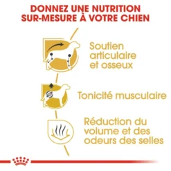Royal Canin Dachshund Adult 7,5kg -Magasin De Fournitures Pour Chiens fre pl Royal Canin Dachshund Adult 7 5kg 9149 3