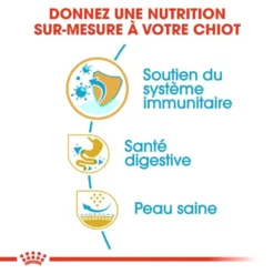 Royal Canin French Bulldog Puppy 1kg -Magasin De Fournitures Pour Chiens fre pl Royal Canin French Bulldog Puppy 1kg 9189 5