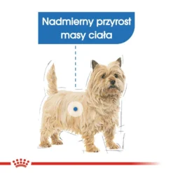 Royal Canin Mini Light Weight Care 8kg + Surprise Pour Votre Chien GRATUITES ! 9 Royal Canin Mini Light Weight Care 8kg + Surprise Pour Votre Chien GRATUITES ! -Magasin De Fournitures Pour Chiens fre pl Royal Canin Mini Light Weight Care 8kg surprise pour votre chien GRATUITES 17870 4