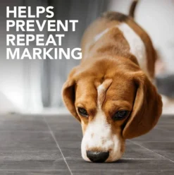 Simple Solution Platinum Destructeur D'odeurs 500 Ml -Magasin De Fournitures Pour Chiens fre pl Simple Solution Platinum Destructeur dodeurs 500 ml 26245 6