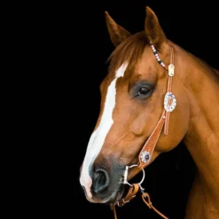 TickLess Cheval Sans Tique - Marron -Magasin De Fournitures Pour Chiens fre pl TickLess Cheval sans tique marron 26621 3