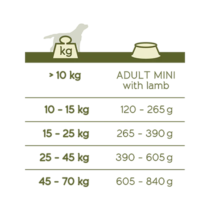 Versele-Laga Happy Life Adult à L'agneau 3kg 3 Versele-Laga Happy Life Adult à L'agneau 3kg – Image 3