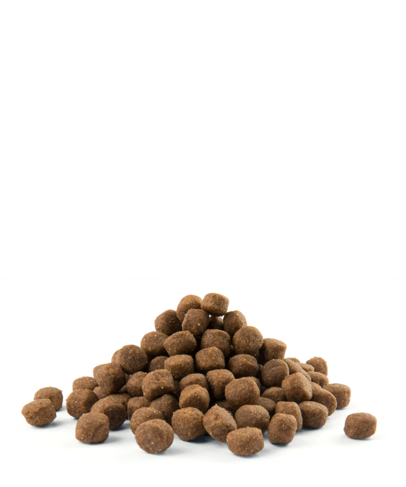 Versele-Laga Opti Life Puppy Maxi Au Poulet 12.5kg 3 Versele-Laga Opti Life Puppy Maxi Au Poulet 12.5kg – Image 3