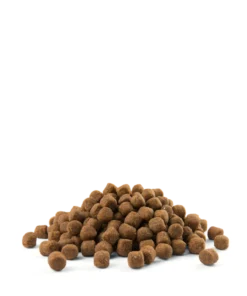 Versele-Laga Opti Life Puppy Sensitive Saumon Au Riz 2.5kg -Magasin De Fournitures Pour Chiens fre pl Versele Laga Opti Life Puppy Sensitive Saumon au riz 2 5kg 8724 3