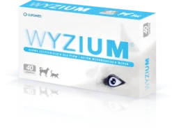Wyzium 2x20 Comprimés