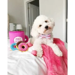 ZIPPY PAWS- Café Avec Donuts -Magasin De Fournitures Pour Chiens fre pl ZIPPY PAWS Cafe avec donuts 29911 3