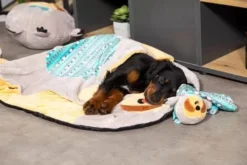 ZOLUX Jouet CHIQUITOS - Paresseux - Doudou 7 ZOLUX Jouet CHIQUITOS - Paresseux - Doudou -Magasin De Fournitures Pour Chiens fre pl ZOLUX Jouet CHIQUITOS Paresseux Doudou 28849 4