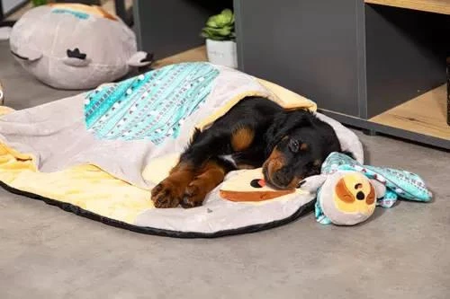 ZOLUX Jouet CHIQUITOS - Paresseux - Doudou 4 ZOLUX Jouet CHIQUITOS - Paresseux - Doudou – Image 4