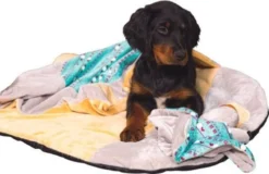 ZOLUX Jouet CHIQUITOS Paresseux Avec Ficelle -Magasin De Fournitures Pour Chiens fre pl ZOLUX Jouet CHIQUITOS paresseux avec ficelle 28850 3